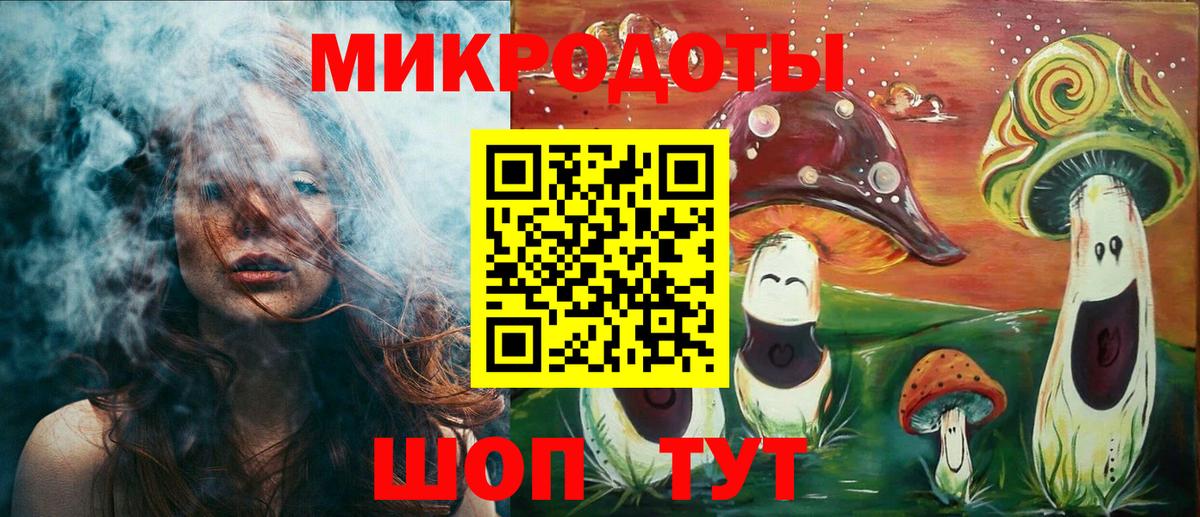 Псилоцибиновые грибы Psilocybe Октябрьский